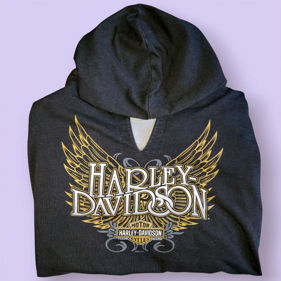 Harley-Davidson Charcoal Hoodie with Gold Accents - Picture 1 of 6